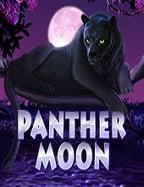 พนัน บอล ออนไลน์ 169: วิธีเล่นแบบมืออาชีพสำหรับมือใหม่