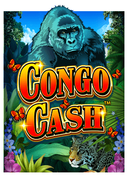 สัมผัสประสบการณ์การเล่นกับทาง เข้า joker2929 อย่างไร้พรมแดน